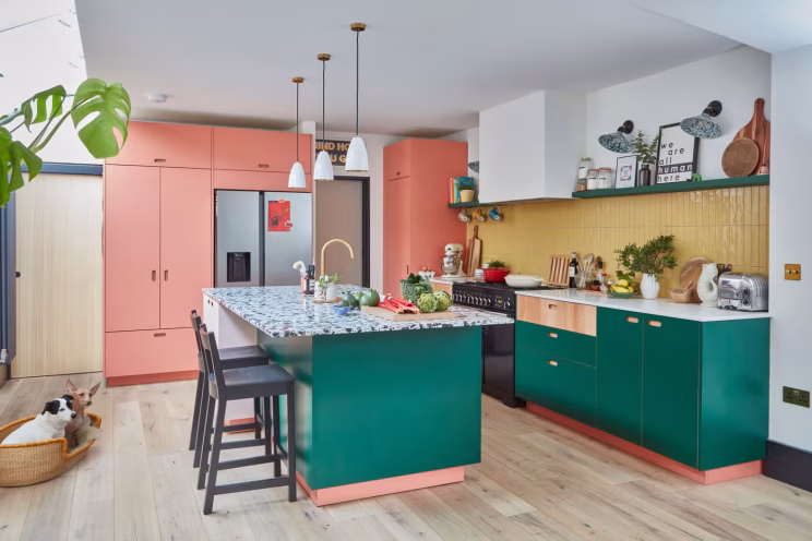Colour Blocked kitchen design